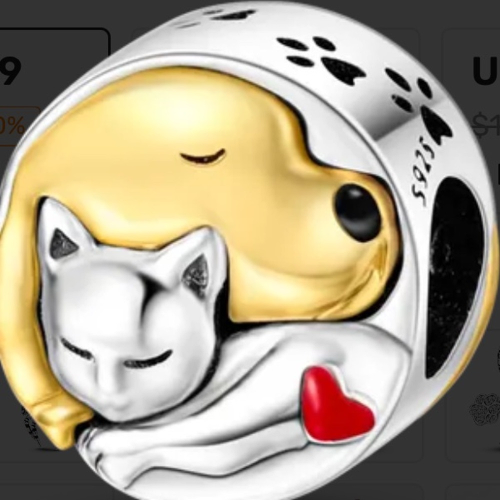 Pandora charm